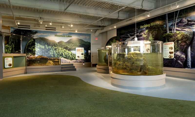 Watershed Aquariums, Photo Credit: Sean Alonzo Harris Photography, courtesy of Children's Museum and Theatre of Maine Watershed Aquariums, Photo Credit: Sean Alonzo Harris Photography, courtesy of Children's Museum and Theatre of Maine