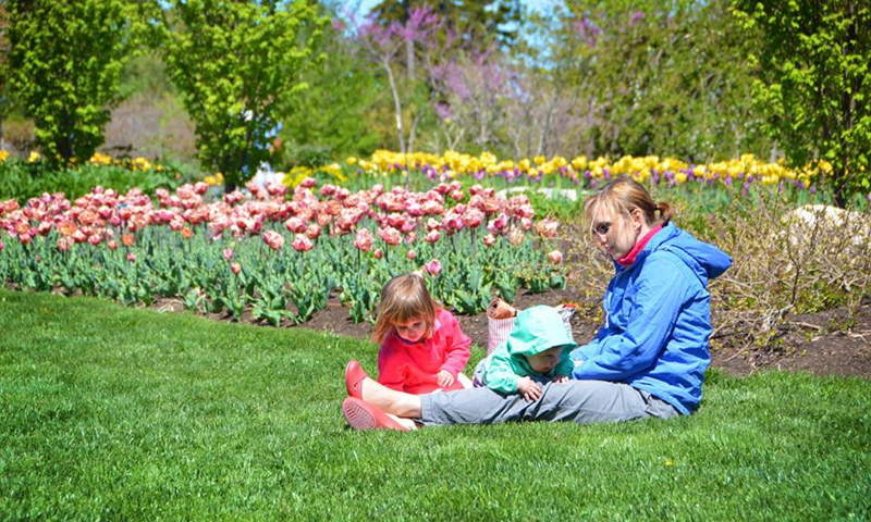 Family laying in the grass near flowers, Photo Courtesy of Coastal Maine Botanical Gardens Family laying in the grass near flowers, Photo Courtesy of Coastal Maine Botanical Gardens