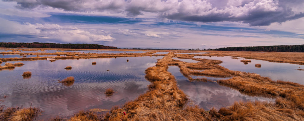 Wide Shot of Scarborough Marsh, Photo Credit: Cynthia Farr-Weinfeld Scarborough Marsh, Photo Credit: CFW Photography