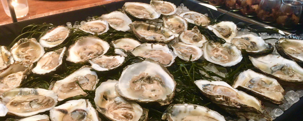Oysters from Taste of Maine, Photo Credit: Robert Witkowski Oysters from Taste of Maine, Photo Credit: Robert Witkowski