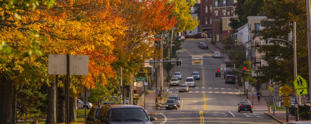Fall Foliage in Portland, Photo Credit: CFW Photography Fall Foliage in Portland, Photo Credit: CFW Photography