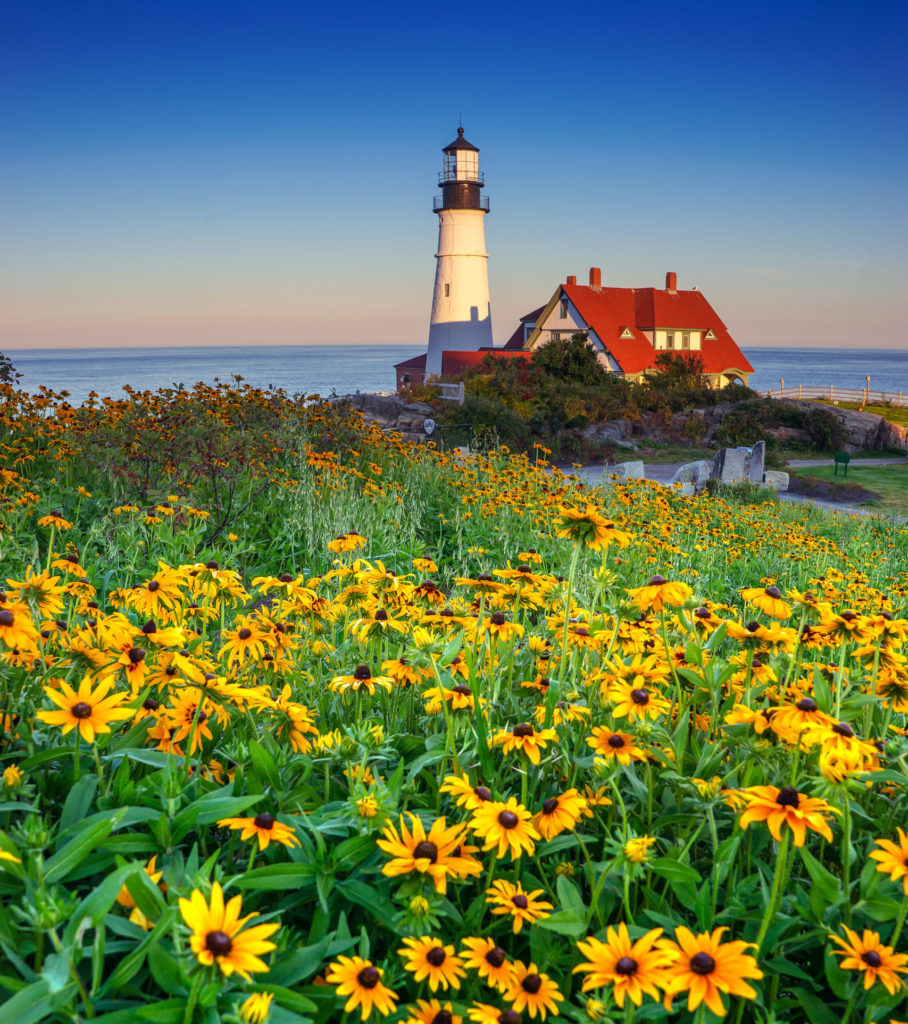 Portland Head Light Spring Flowers, Photo Credit: Kim Seng Portland Head Light Spring Flowers, Photo Credit: Kim Seng