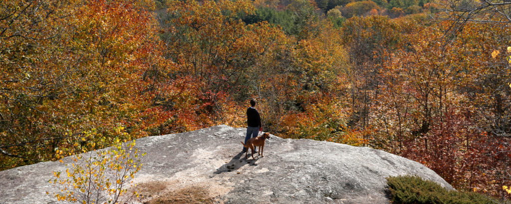 Bradbury Mountain with Dog, Photo Credit: Tim Greenway Bradbury Mountain with Dog, Photo Credit: Tim Greenway