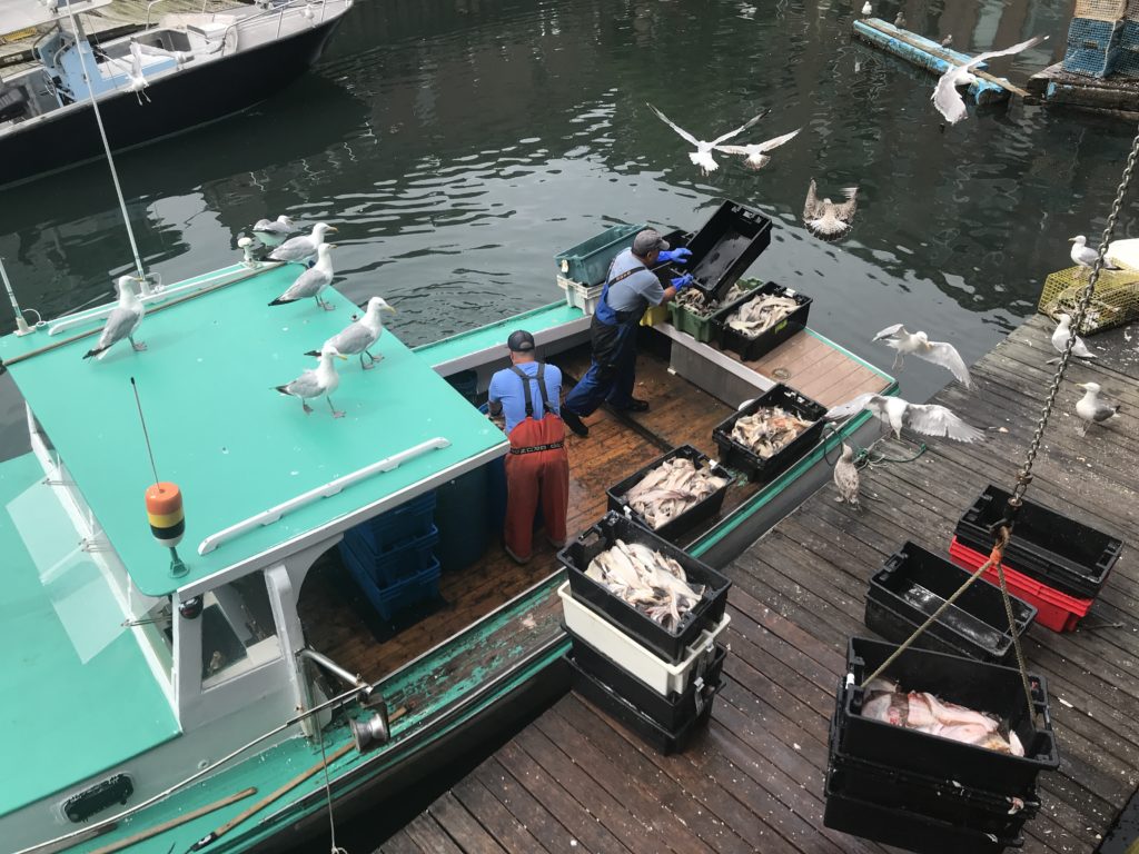 Lobster Boat on Dock in Old Port with Bait, Photo Courtesy of Visit Portland / GLP Films Lobster Boat on Dock in Old Port with Bait, Photo Courtesy of Visit Portland / GLP Films