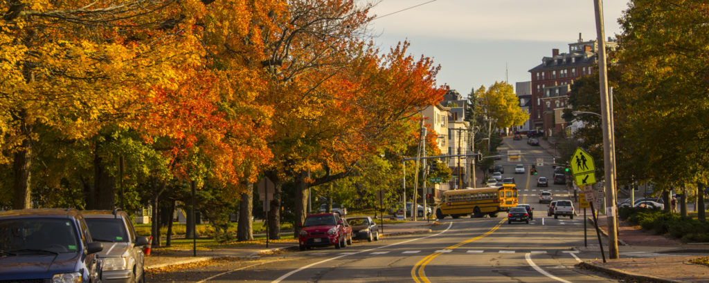 Fall Foliage, Photo Credit: CFW Photography Fall Foliage, Photo Credit: CFW Photography