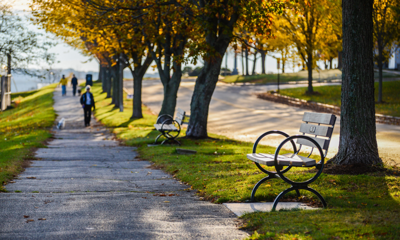Eastern Promenade Walk with Bench in Fall, Photo Credit: Corey Templeton Eastern Promenade Walk with Bench in Fall, Photo Credit: Corey Templeton