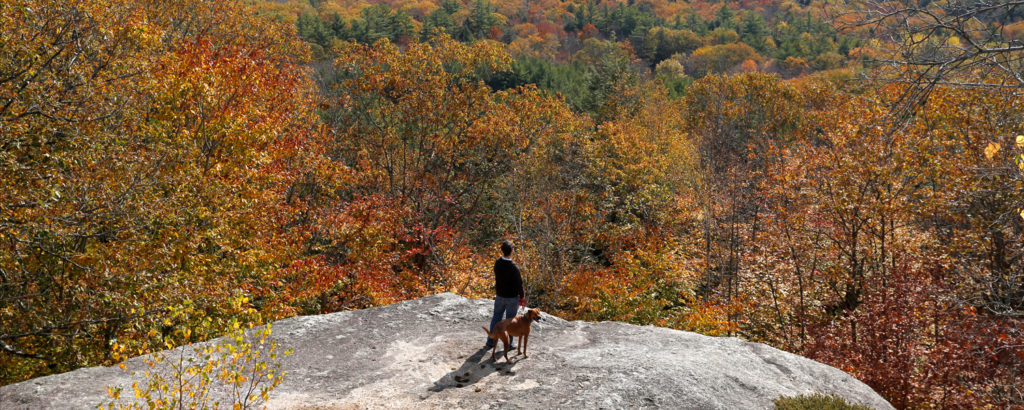 Bradbury Mountain, Photo Credit: Tim Greenway Bradbury Mountain, Photo Credit: Tim Greenway