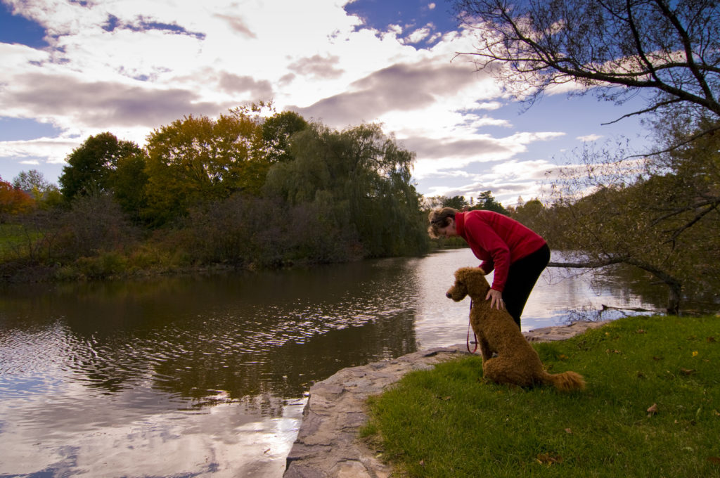 Walking with Dog Through Fall Foliage Near Pond, Photo Credit: CFW Photography Walking with Dog Through Fall Foliage Near Pond, Photo Credit: CFW Photography