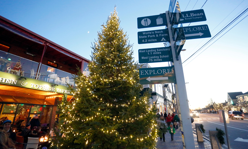 Freeport's Famous Talking Tree. Photo Provided by Visit Freeport Freeport's Famous Talking Tree. Photo Provided by Visit Freeport