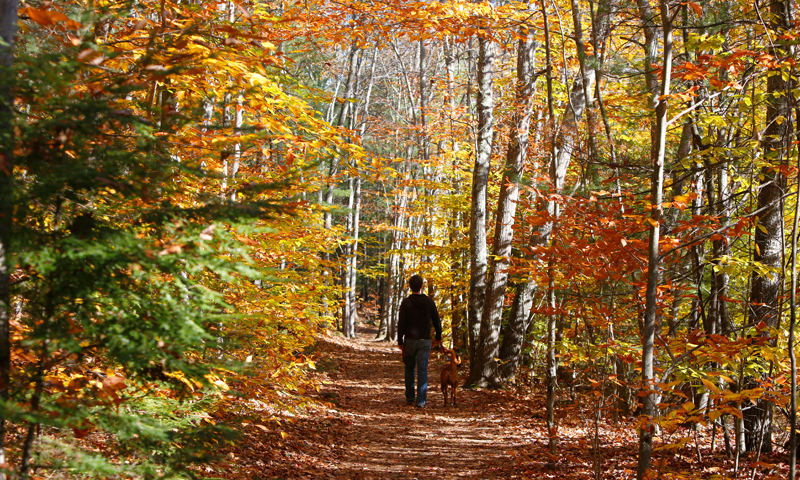 Hiking at Bradbury Mountain in Fall. Photo Courtesy of Visit Freeport. Hiking at Bradbury Mountain in Fall. Photo Courtesy of Visit Freeport.