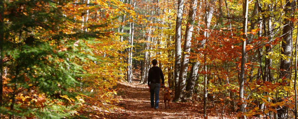 Hiking at Bradbury Mountain in Fall. Photo Courtesy of Visit Freeport. Hiking at Bradbury Mountain in Fall. Photo Courtesy of Visit Freeport.