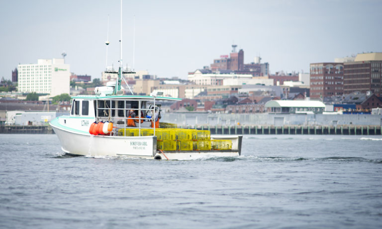 Lobster Boat with City View. Photo Credit: Capshore Photography Lobster Boat with City View. Photo Credit: Capshore Photography