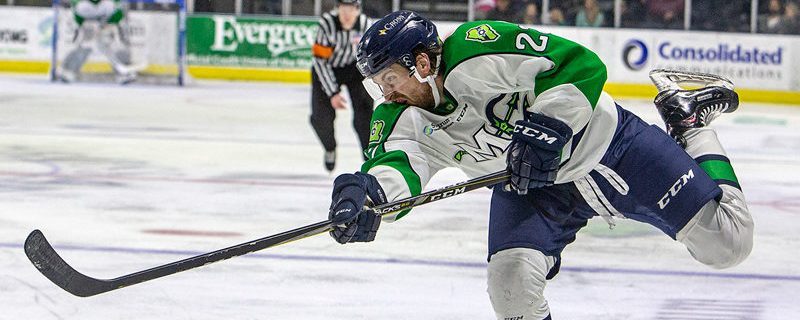 Hockey Player. Photo Provided by Maine Mariners Hockey Player. Photo Provided by Maine Mariners