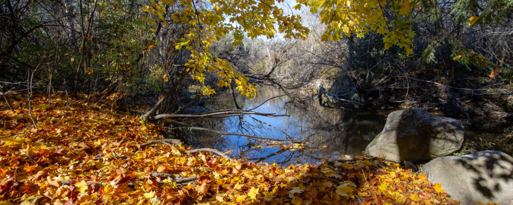 Pratt's Brook Park Photo Credit Serena Folding Pratt's Brook Park Photo Credit Serena Folding