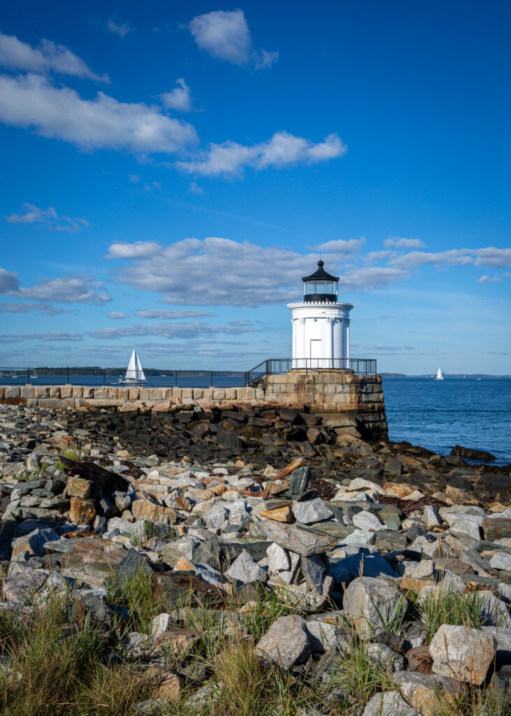 Bug Light, Photo Credits: Serena Folding Bug Light, Photo Credits: Serena Folding
