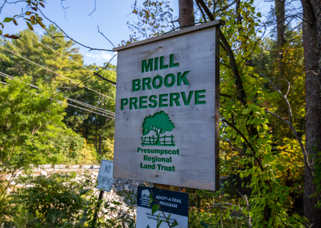 Mill Brook Preserve, Photo Credits: Serena Folding Mill Brook Preserve, Photo Credits: Serena Folding