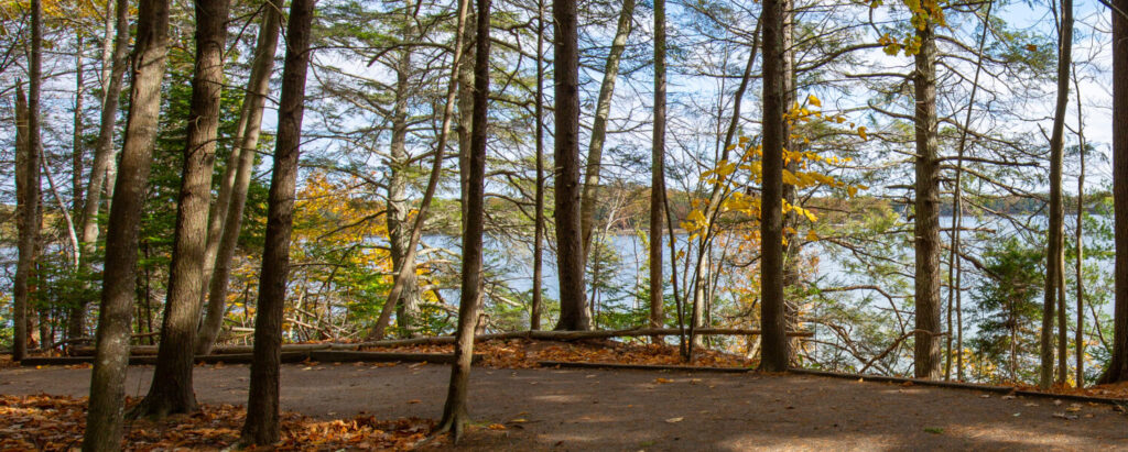 Wolfe's Neck State Park Photo Credits: Serena Folding Wolfe's Neck State Park Photo Credits: Serena Folding