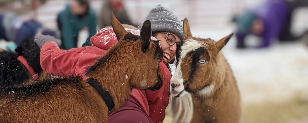 Winter Goat Yoga at Smiling Hill Farm, Photo Credits: Ashley Flowers Winter Goat Yoga at Smiling Hill Farm, Photo Credits: Ashley Flowers