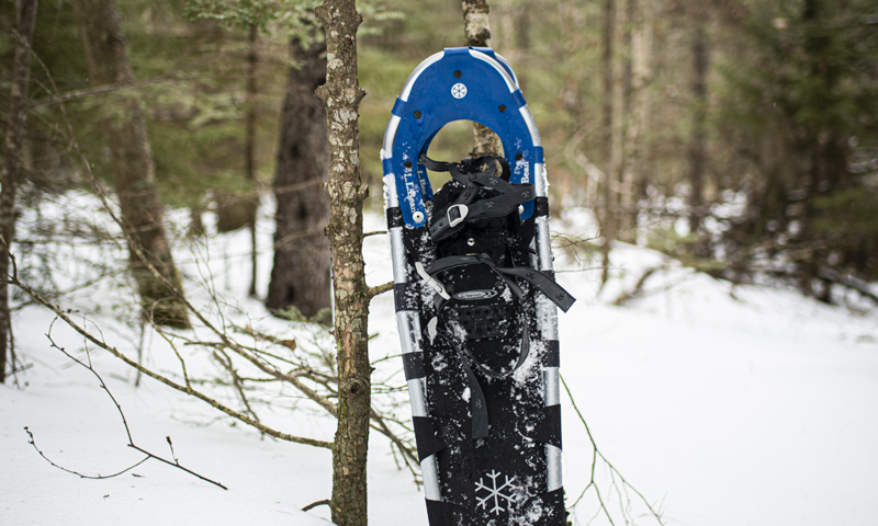 Snowshoe at Wolfe Neck Woods State Park, Photo Credit: Capshore Photography Snowshoe at Wolfe Neck Woods State Park, Photo Credit: Capshore Photography