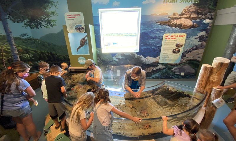 Tidal Shores Exhibit. Photo Provided by Children's Museum and Theatre of Maine Tidal Shores Exhibit. Photo Provided by Children's Museum and Theatre of Maine