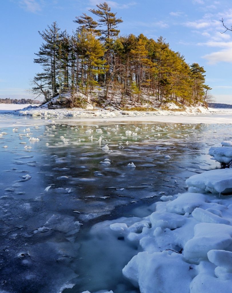 Wolfe's Neck State Park, Photo Credits: Jessica Cook Wolfe's Neck State Park, Photo Credits: Jessica Cook