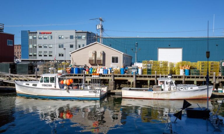 Working Waterfront Tour, Photo Credits: Serena Folding Working Waterfront Tour, Photo Credits: Serena Folding