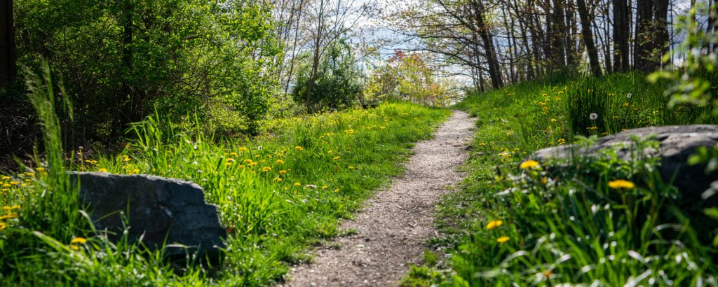 Outdoor trails, Photo Credits: GLP Films Outdoor trails, Photo Credits: GLP Films