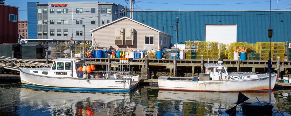 Working Waterfront, Photo Credits; Serena Folding Working Waterfront, Photo Credits; Serena Folding