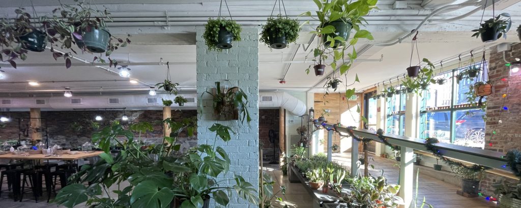 Terrarium Holiday Garland, Photo Credit: Serena Folding Terrarium Holiday Garland, Photo Credit: Serena Folding