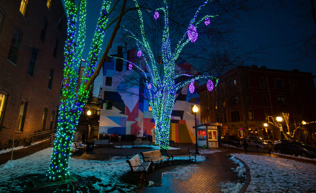 Pandora's Winter Lights. Photo Credit: Serena Folding Photography Pandora's Winter Lights. Photo Credit: Serena Folding Photography