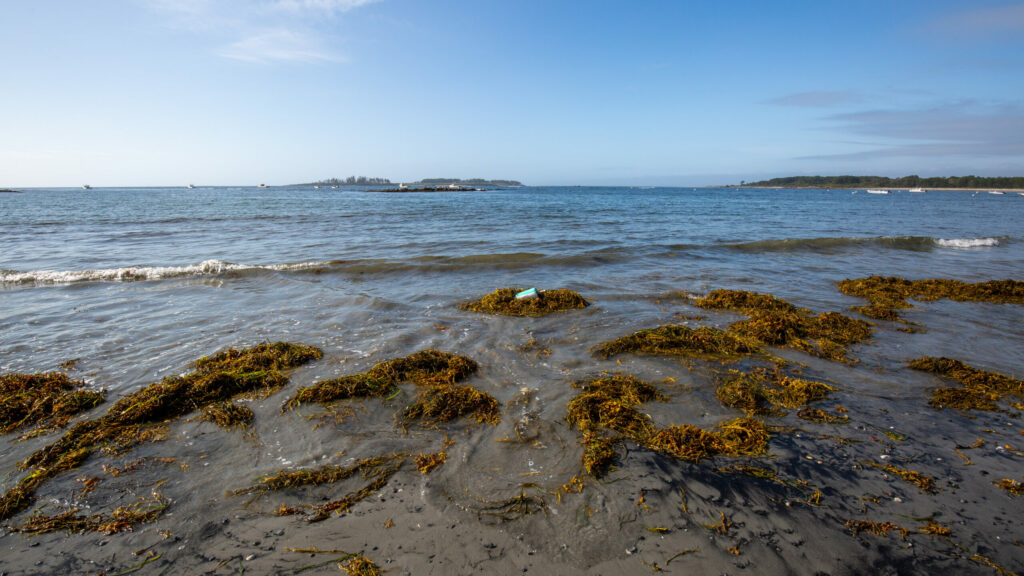 Cape Elizabeth - Kettle Cove Photo Credits: Serena Folding Cape Elizabeth - Kettle Cove Photo Credits: Serena Folding