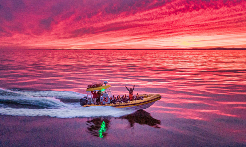 Tour Boat. Photo Provided by New England Eco Adventures Tour Boat. Photo Provided by New England Eco Adventures