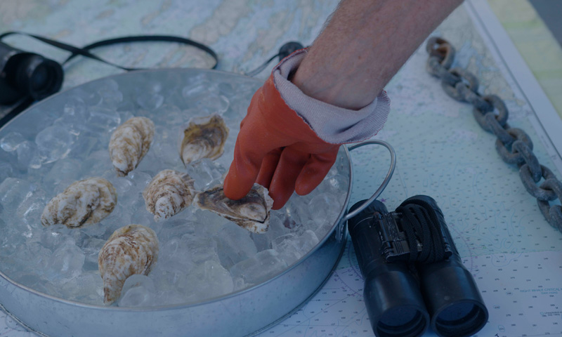 Oysters on Seacoast Tours of Freeport Cruise, Photo Credit: Knack Factory Oysters on Seacoast Tours of Freeport Cruise, Photo Credit: Knack Factory