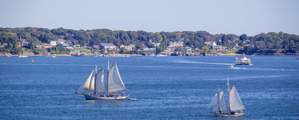 Sailboats on a sunny day, Photo Credits: Serena Folding IMG_8037 header Photo Credits: Serena Folding