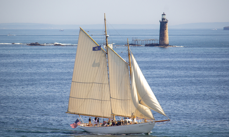 Sail boat on the water Photo Credits: Serena Folding IMG_9945 Photo Credits: Serena Folding