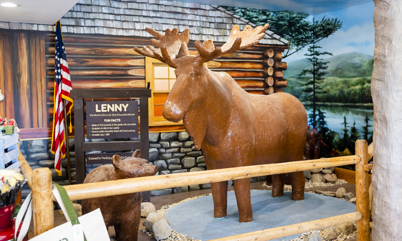 Chocolate Moose. Photo credit: Capshore Photography