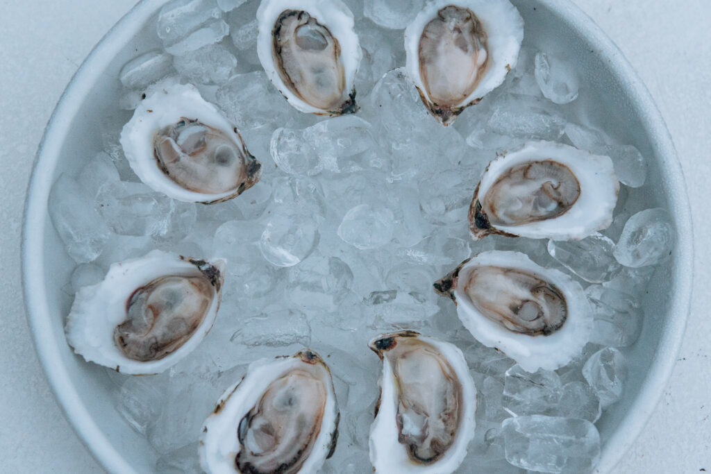 Oysters. Photo Credit: Emily Zolo Oysters. Photo Credit: Emily Zolo