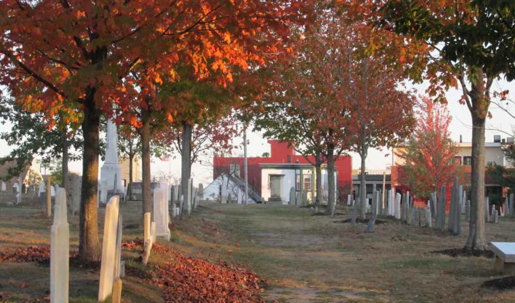 Haunting Eastern Cemetery - Photo Credit: Photo by Janet Alexander, Spirits Alive - Funeral Lane Eastern Cemetery taken 09 Oct 2020 - Photo Credit: Spirits Alive Haunting Eastern Cemetery - Photo Credit: Photo by Janet Alexander, Spirits Alive - Funeral Lane Eastern Cemetery taken 09 Oct 2020 - Photo Credit: Spirits Alive